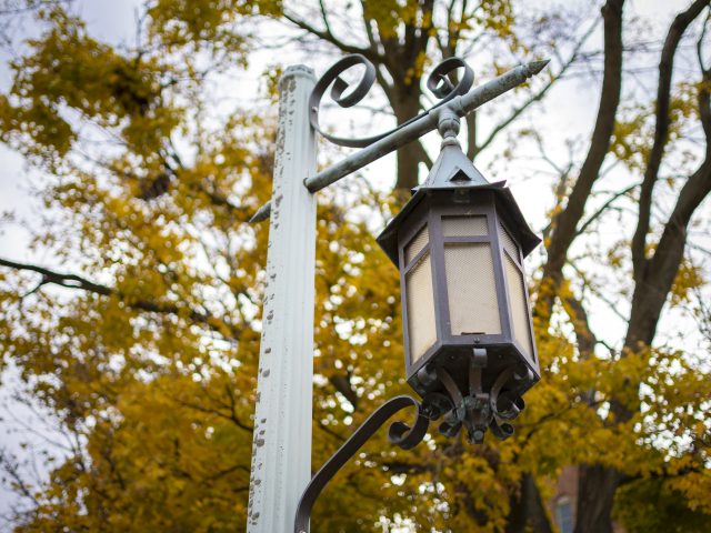 A lamppost with an old-fashioned lantern on MSU's campus. A large tree with yellow leaves is in the background.