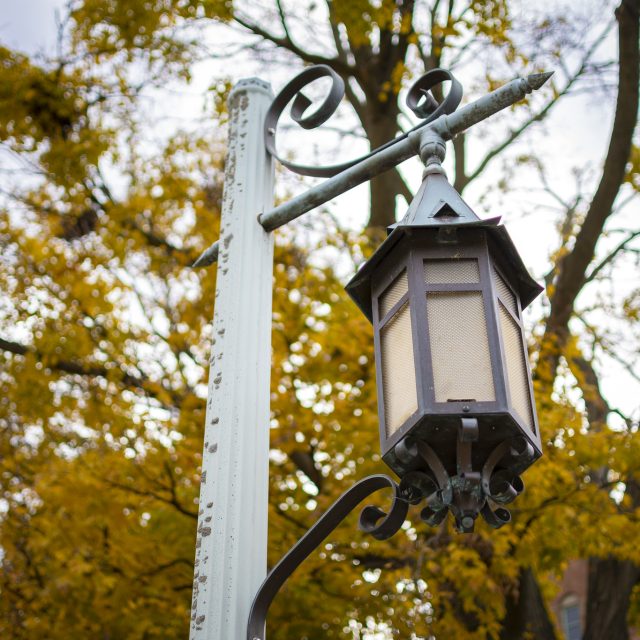 A lamppost with an old-fashioned lantern on MSU's campus. A large tree with yellow leaves is in the background.